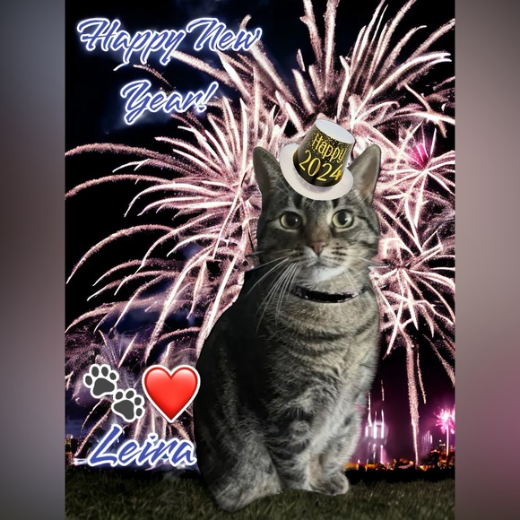 It’s Springtime again! - Picture 5 of 5